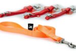 Correa Perro Brakko Nylon Premium X-small 125 Cm X 15 Mm - Imagen 4
