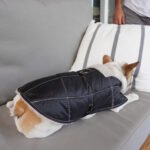 Ropa Perro Manta Mpc Baxer Impermeable C/corderito Talle 45 - Imagen 4