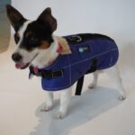 Ropa Perro Manta Mpc Baxer Impermeable C/corderito Talle 30 - Imagen 10