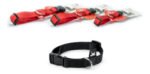 Collar Perros Brakko Premium Nylon Fast Lock X-small 30-42cm - Imagen 3