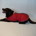 Ropa Perro Manta Mpc Baxer Impermeable C/corderito Talle 45 - Imagen 22