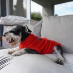Ropa Perro Polar Mpc Liviana Talle 55 Calidad Premium - Imagen 17