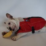 Ropa Perro Manta Mpc Baxer Impermeable C/corderito Talle 45 - Imagen 20