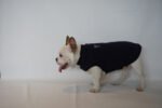 Ropa Perro Polar Mpc Liviana Talle 55 Calidad Premium - Imagen 14
