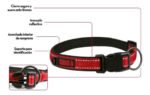 Collar Perro Kong Regulable Acolchado Small 25-35 Cm X 16 Mm - Imagen 8