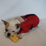Ropa Perro Manta Mpc Baxer Impermeable C/corderito Talle 45 - Imagen 21