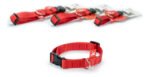 Collar Perros Brakko Premium Nylon Fast Lock X-small 30-42cm - Imagen 4