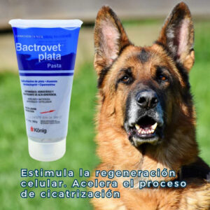 Curabichera Konig Bactrovet Plata Pasta Pomo X 150 Grs