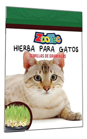 Semillas De Hierba Gatera Gatos Catnip Zootec X 80 Gs.