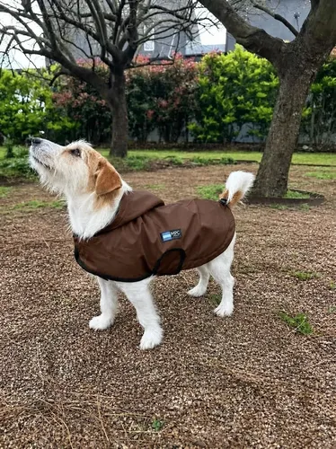 Piloto Para Perros Mpc Duke Talle 45 Chocolate