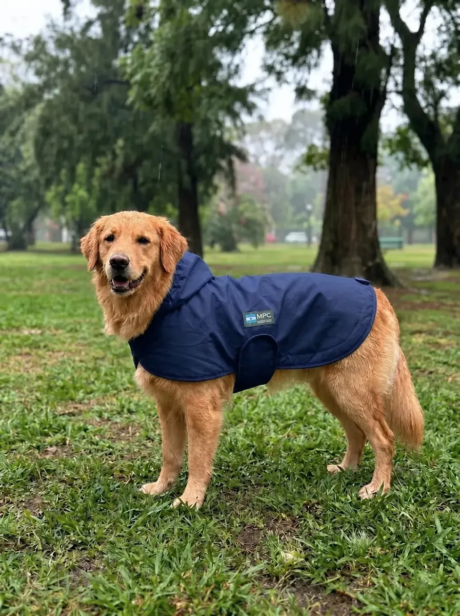 Piloto Para Perros Mpc Duke Talle 65 Azul Marino